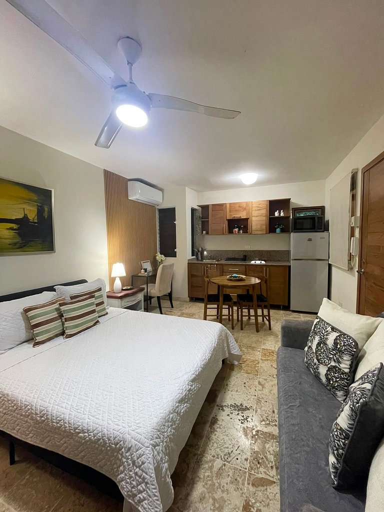 Apartamento tipo Estudio Zona Colonial