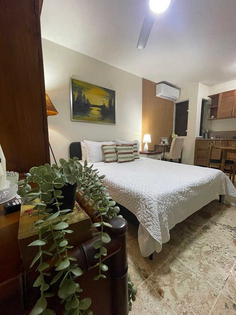 Apartamento tipo Estudio Zona Colonial