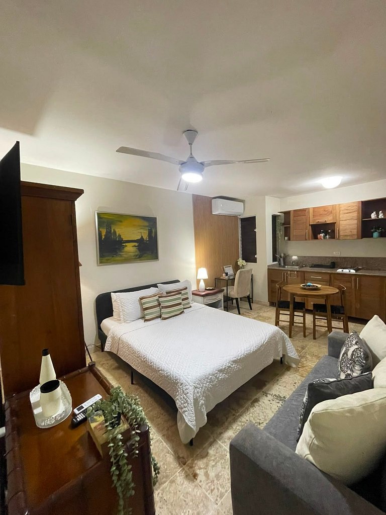 Apartamento tipo Estudio Zona Colonial