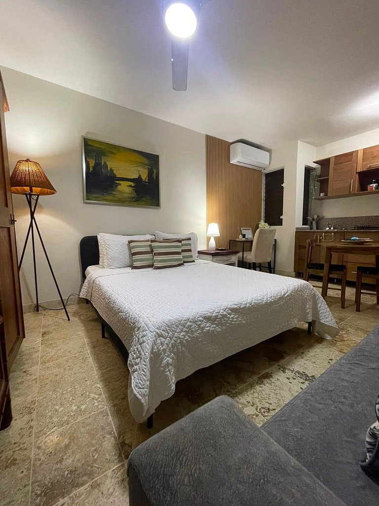 Apartamento tipo Estudio Zona Colonial