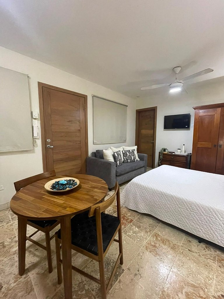 Apartamento tipo Estudio Zona Colonial